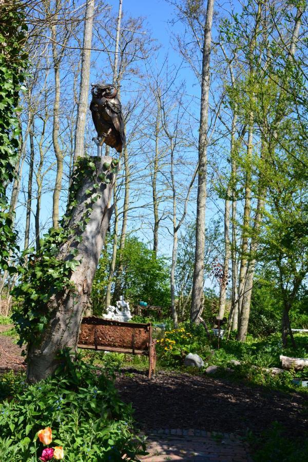 Wonderland Villa Pieterburen Eksteriør bilde