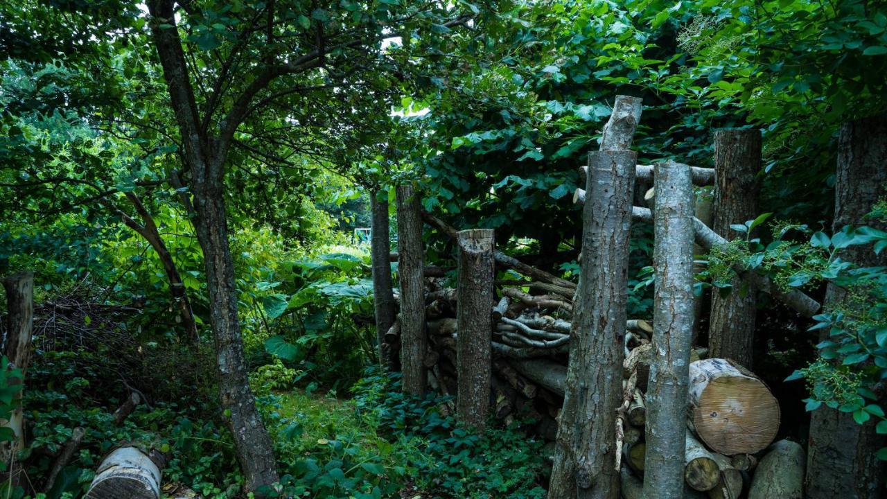 Wonderland Villa Pieterburen Eksteriør bilde
