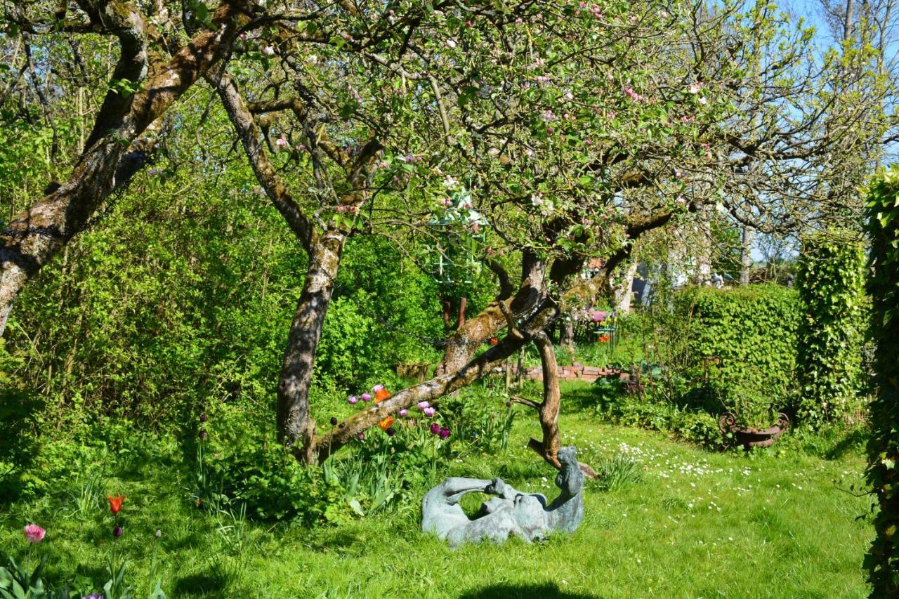 Wonderland Villa Pieterburen Eksteriør bilde